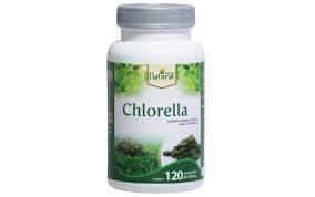 Chlorella - Savana